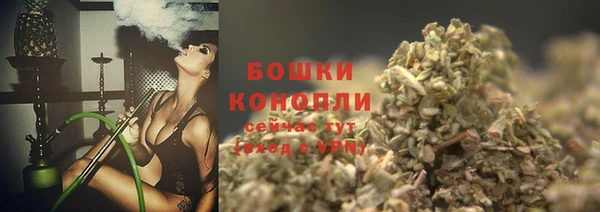 ПСИЛОЦИБИНОВЫЕ ГРИБЫ Верея
