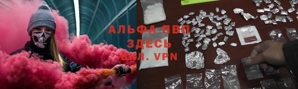 ПСИЛОЦИБИНОВЫЕ ГРИБЫ Верея