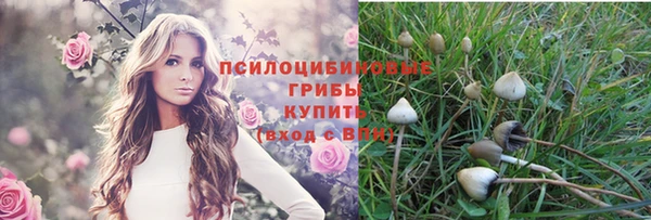 ПСИЛОЦИБИНОВЫЕ ГРИБЫ Верея