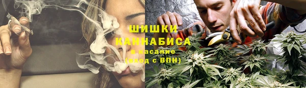 ПСИЛОЦИБИНОВЫЕ ГРИБЫ Верея